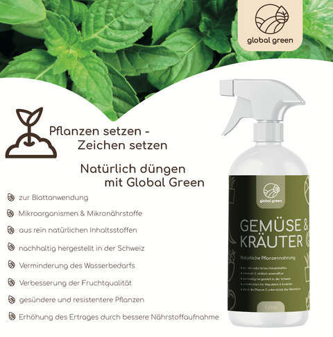 Gemüse & Kräuter