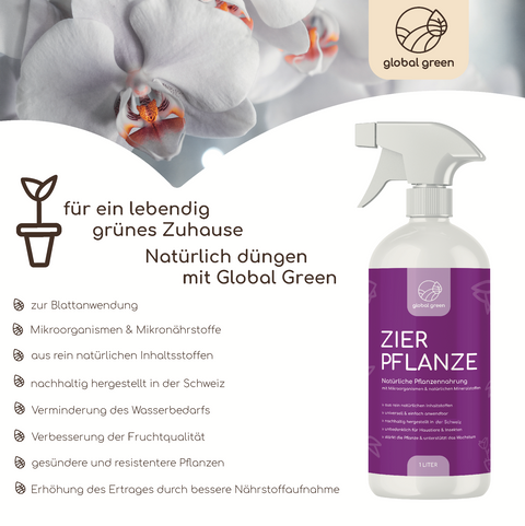 Zierpflanze