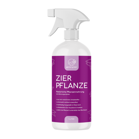 Zierpflanze